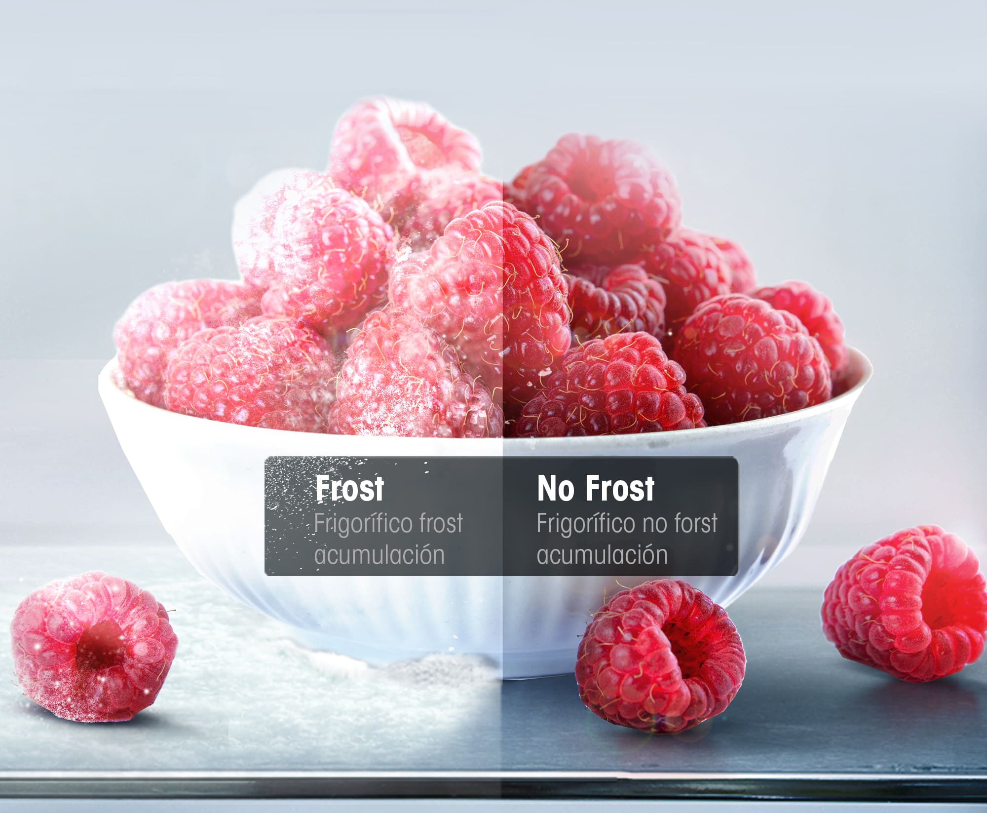 Total No Frost